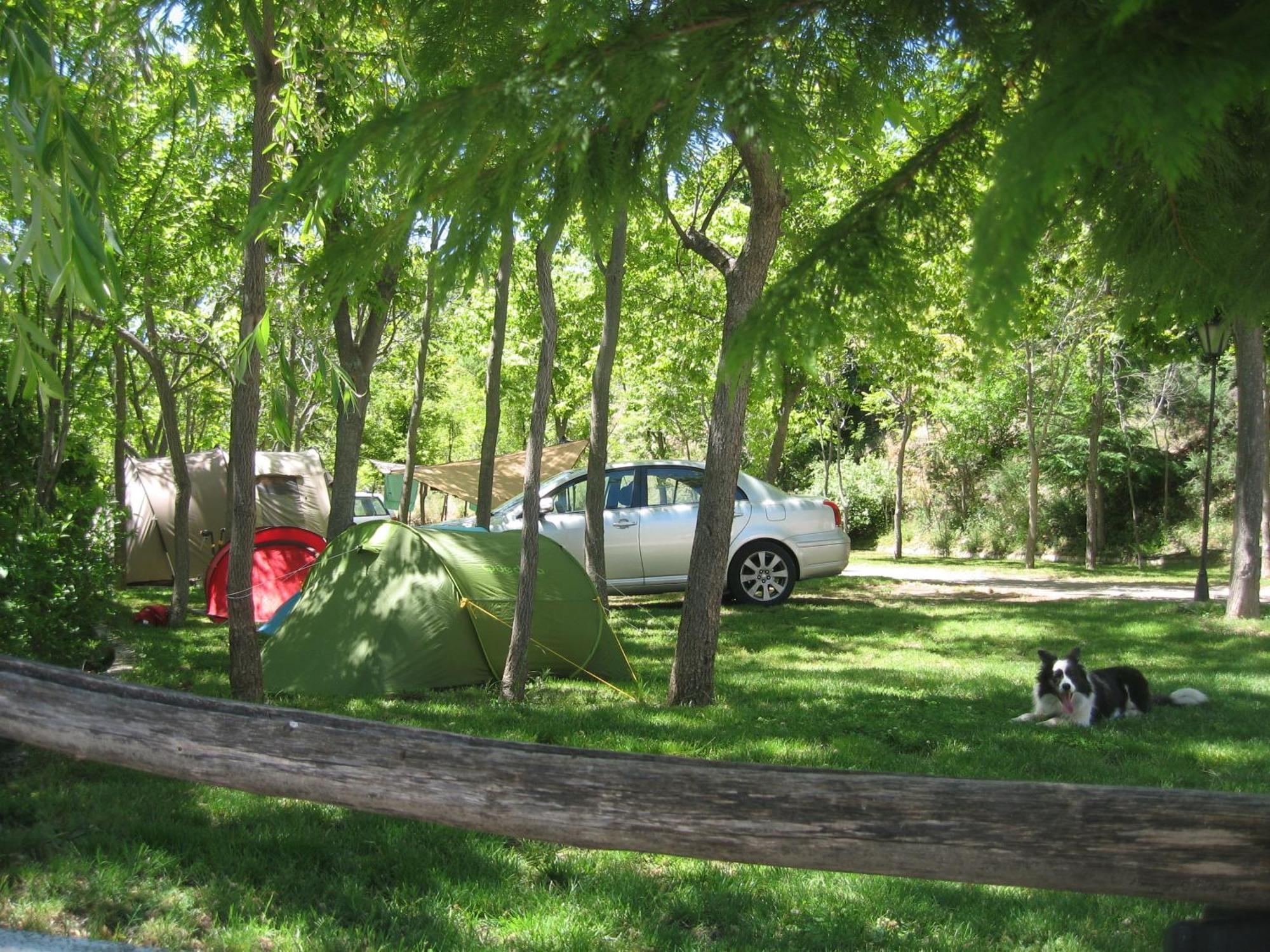 Camping Trevélez Dış mekan fotoğraf