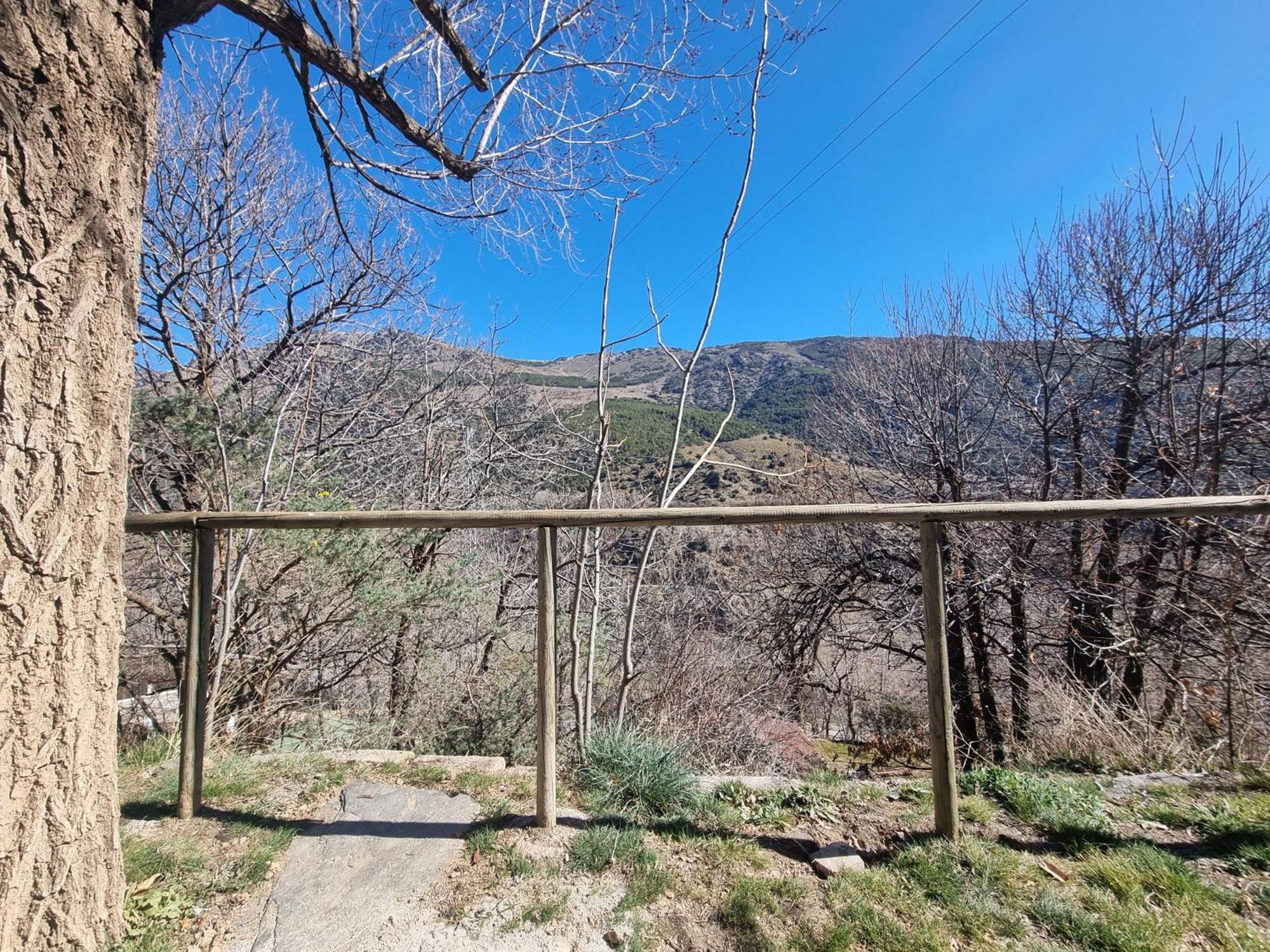 Camping Trevélez Dış mekan fotoğraf